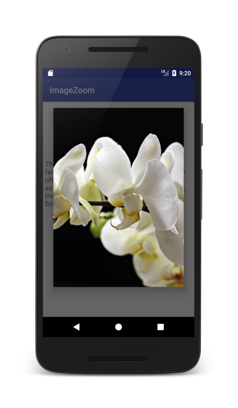 Pinch to Zoom Android ImageView Tutorial Coding Demos